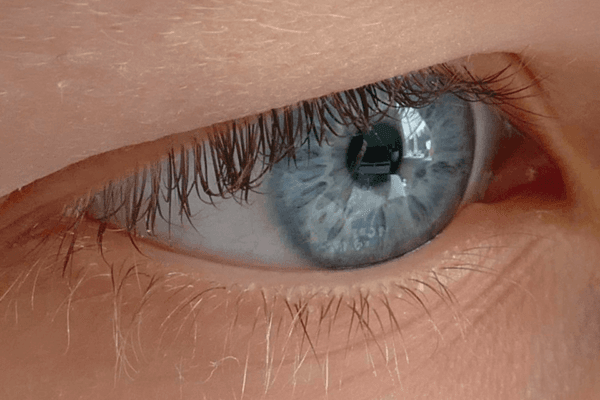 Fotografie Ploeg Benelux B.V. fotograferen macro fotografie challenge henriet