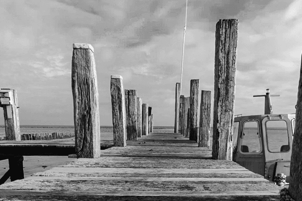 Fotografie Ploeg Benelux B.V. fotograferen zwart wit fotografie challenge jennita