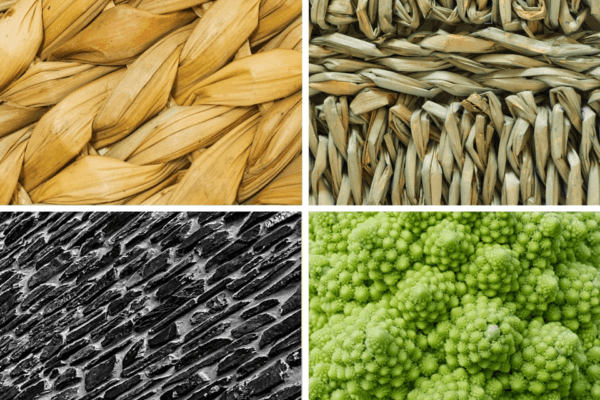 Fotografie Ploeg Benelux B.V. fotografie challenge patronen marian