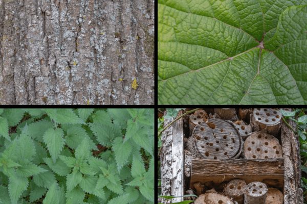 Fotografie Ploeg Benelux B.V. fotografie challenge patronen toos