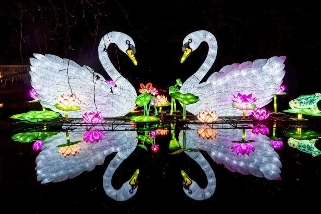 Fotografie voor beginners 3 Fotografie Ploeg Benelux B.V. fotografie china light lichtfestival emmen zwanen 2