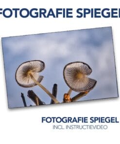 Fotografie Spiegel