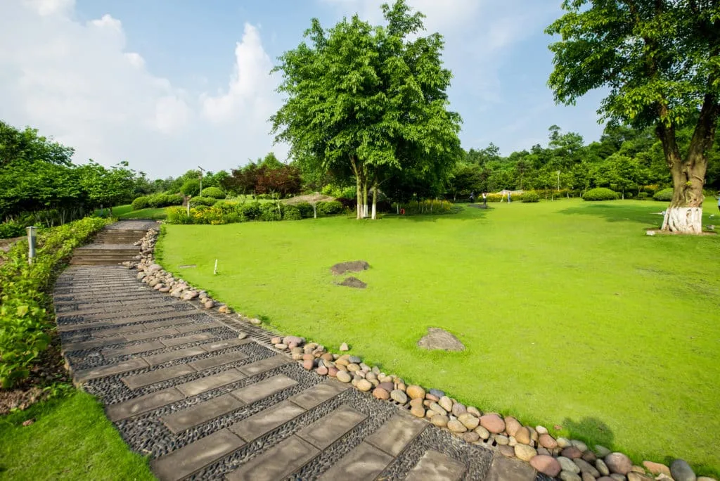 De mooiste zomerse plaatjes: 20 tips bij het fotograferen met hard licht 10 Fotografie Ploeg Benelux B.V. grassland landscape greening environment park background