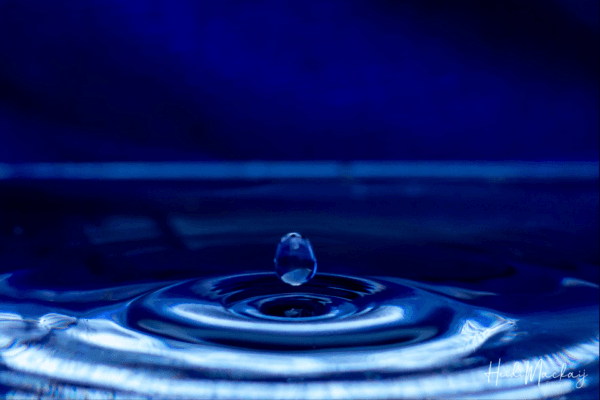 Fotografie Ploeg Benelux B.V. heidi water