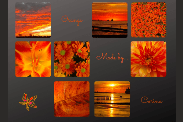 Fotografie Ploeg Benelux B.V. maand11 corina