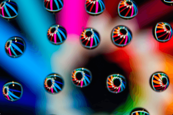 Fotografie Ploeg Benelux B.V. maand12 ciska