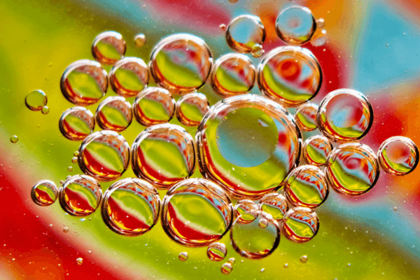 Fotografie Ploeg Benelux B.V. maand12 marina