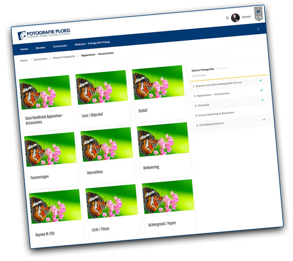 Macrofotografie Online Cursus 2 Fotografie Ploeg Benelux B.V. macro fotografie cursus links 1024x913 1