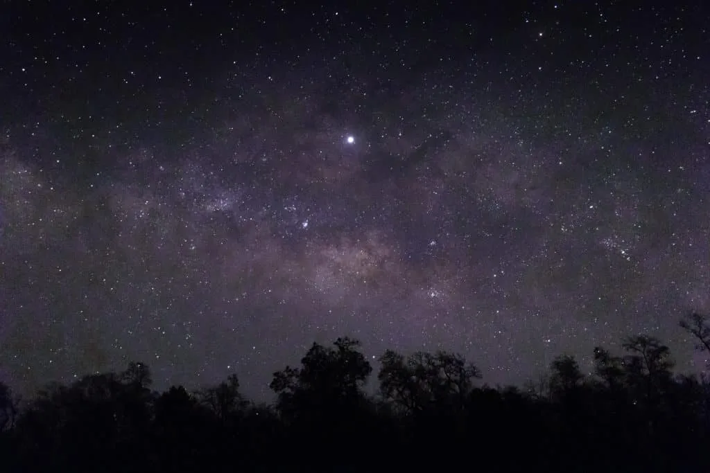 De mooiste zomerse plaatjes: 20 tips bij het fotograferen met hard licht 21 Fotografie Ploeg Benelux B.V. sky full stars silhouettes trees