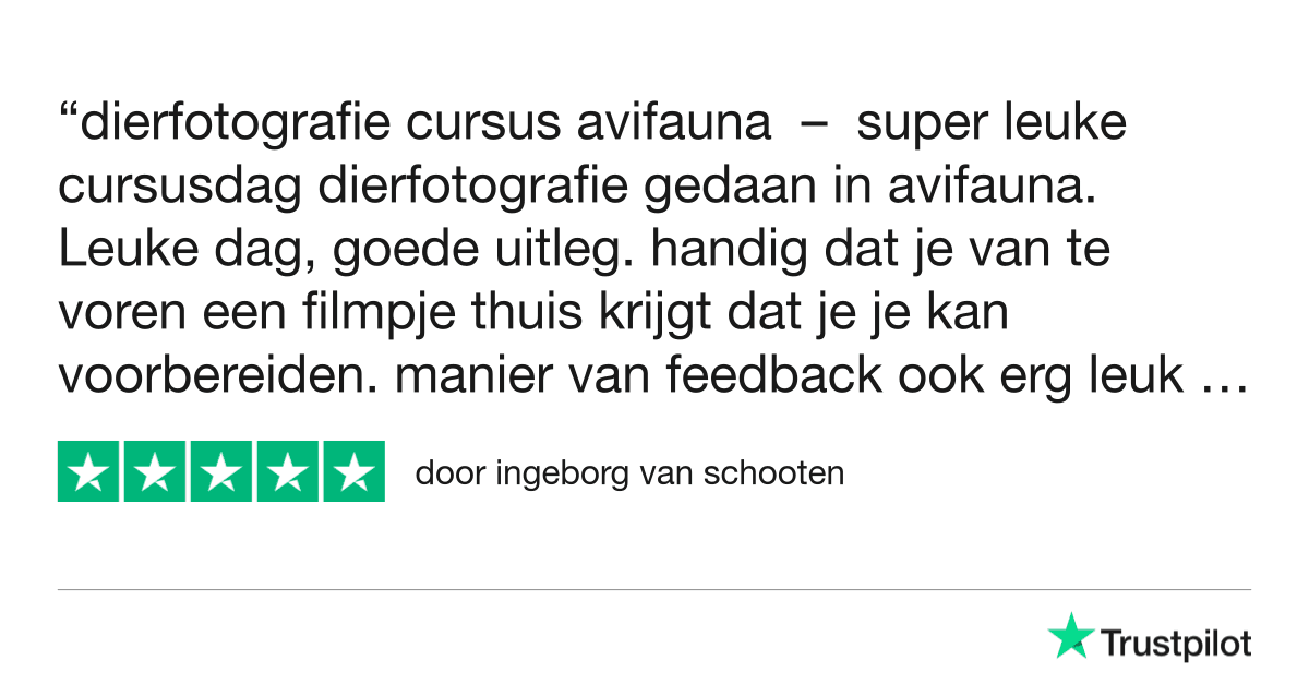 Fotografie Ploeg Benelux B.V. avifauna workshop dierenfotografie trustpilot review ingeborg van schooten