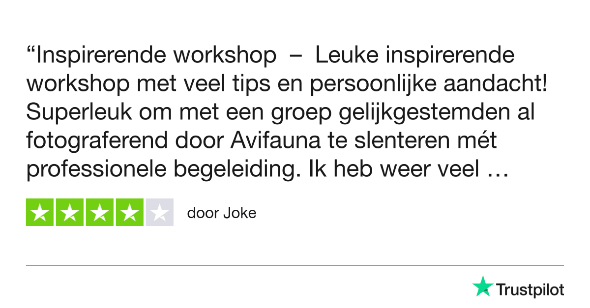 Fotografie Ploeg Benelux B.V. avifauna workshop dierenfotografie trustpilot review joke