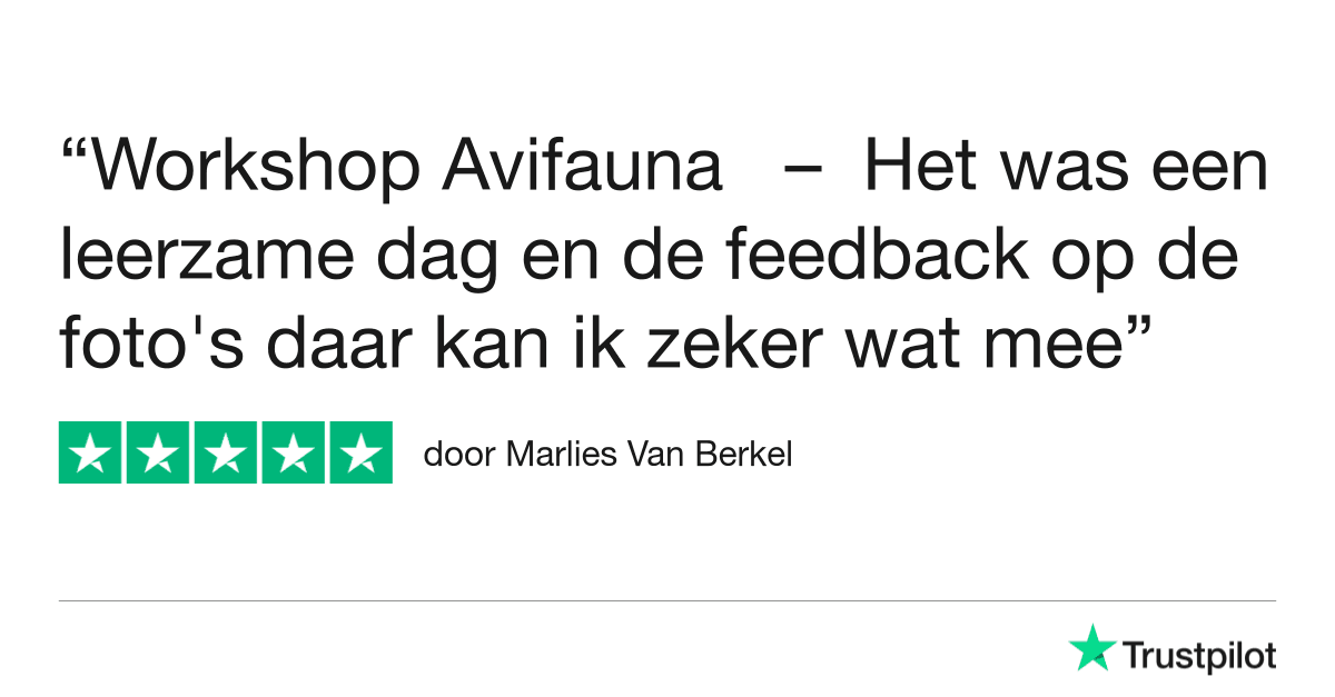 Fotografie Ploeg Benelux B.V. avifauna workshop dierenfotografie trustpilot review marlies van berkel