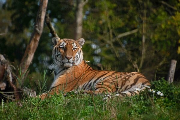 Fotografie Ploeg Benelux B.V. fotografie workshop dierenfotografie aqua zoo