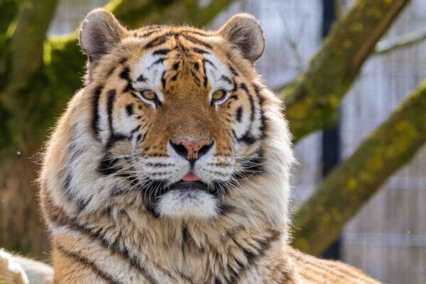 Fotografie Ploeg Benelux B.V. fotografie workshop dierenfotografie aqua zoo 2