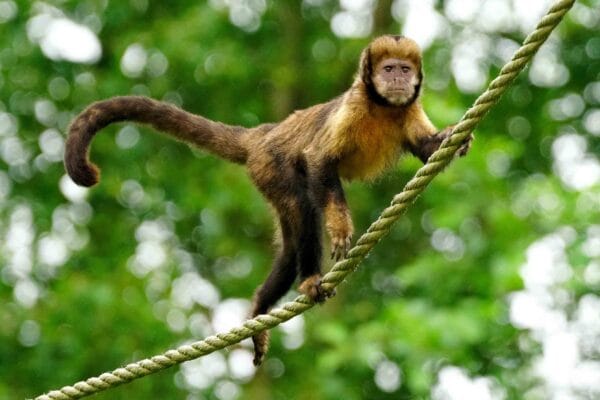 Fotografie Ploeg Benelux B.V. fotografie workshop dierenfotografie aqua zoo 4