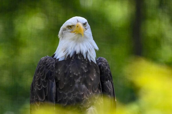 Fotografie Ploeg Benelux B.V. fotografie workshop dierenfotografie aqua zoo 5