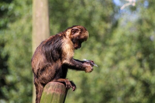 Fotografie Ploeg Benelux B.V. fotografie workshop dierenfotografie aqua zoo 6