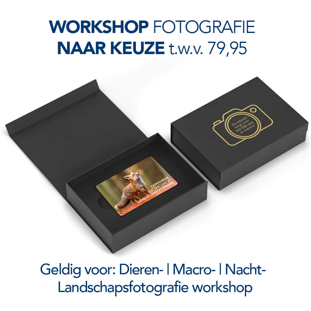 Fotografie Ploeg Benelux B.V. kerst giftbox workshop 1