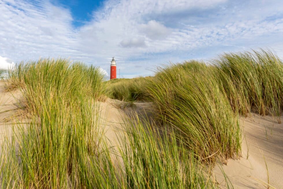 Foto Buddy 1-2-3 14 Fotografie Ploeg Benelux B.V. 2 na BP3A6616 1 980x653 1