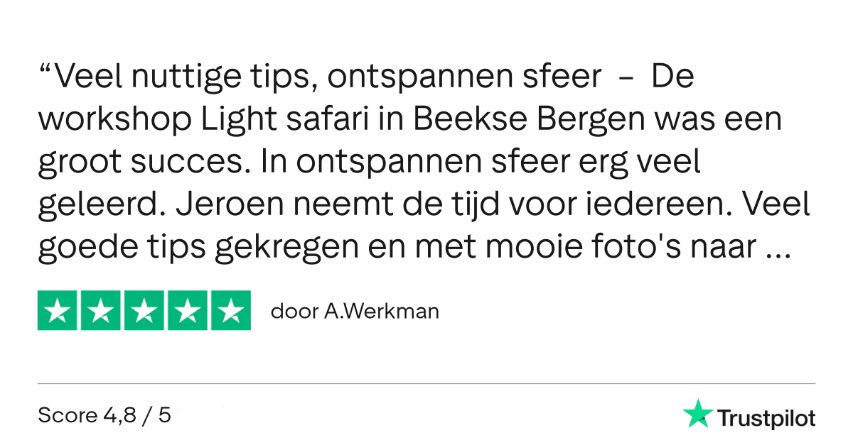 Light Safari Beekse Bergen - Workshop Fotografie - Review Trustpilot