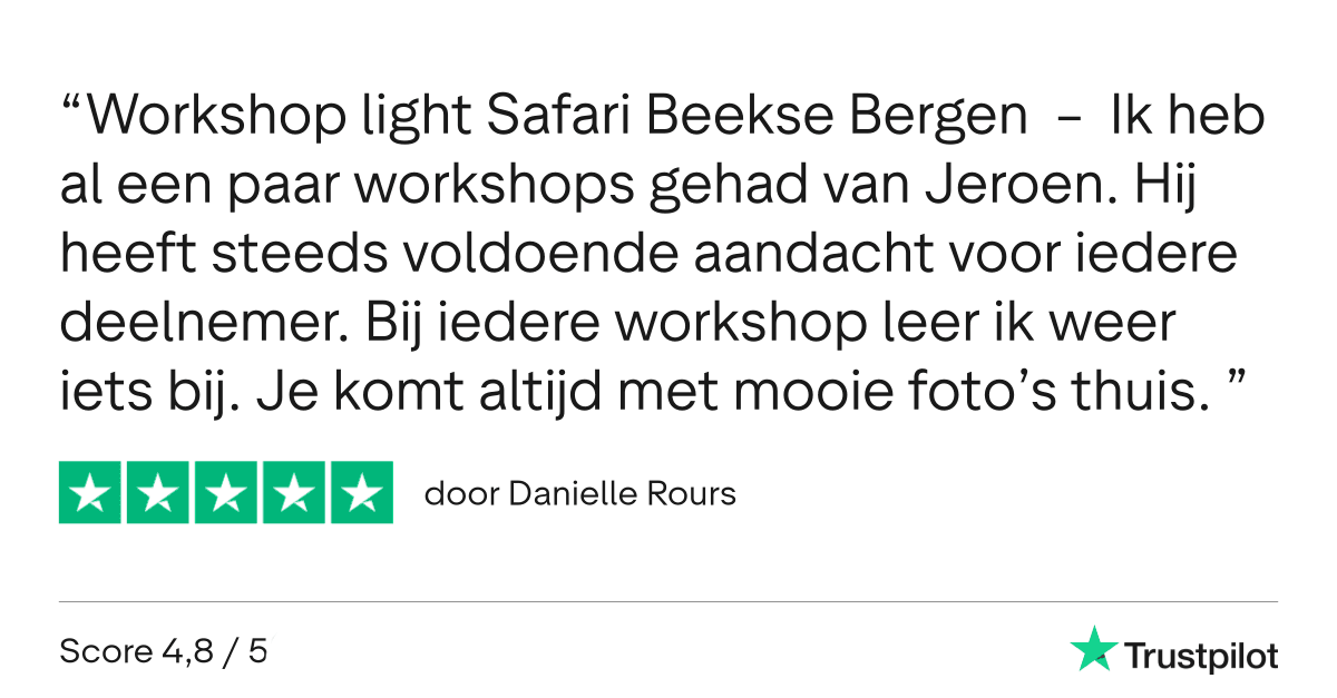 Light Safari Beekse Bergen - Workshop Fotografie - Review Trustpilot