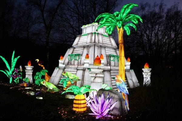 Light Safari Beekse Bergen