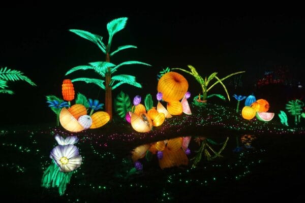 Light Safari Beekse Bergen