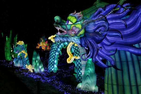 Light Safari Beekse Bergen