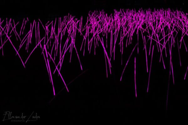 Fotografie Ploeg Benelux B.V. glow lichtfestival eindhoven fotografie workshop IMG 8029