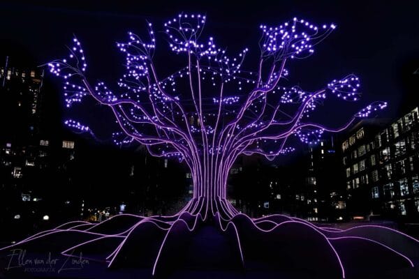 Fotografie Ploeg Benelux B.V. glow lichtfestival eindhoven fotografie workshop Joris Vrensen