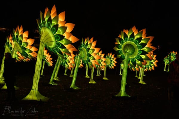 Fotografie Ploeg Benelux B.V. glow lichtfestival eindhoven fotografie workshop jannievdschoot